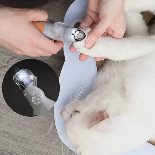 Professionelle Pet Nagel Clipper Schere Mit LED Licht Katze Hund Nagel Clippers Werkzeug Schere Nagel Toeclaw Cutter Schere Pet Suppl - Image 8