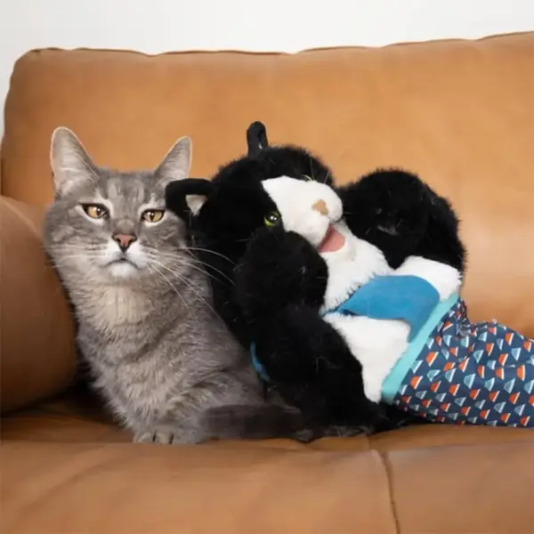 Katzenpuppe, Wrestler, Katzen-Wrestling-Spielzeugpuppe, interaktive Handpuppe mit robuster Polsterung für sicheres Spielen, Katzen- und Hundespielzeug - Image 4