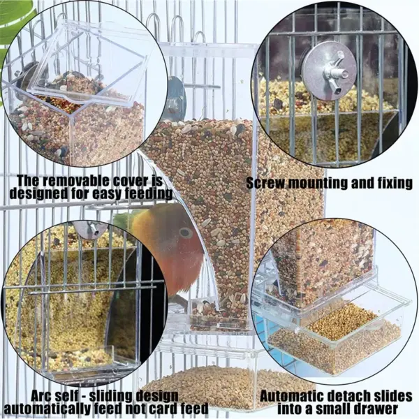 Parrot Bird FeederSpill-proof Automatic DispenserSplash-proof Outside FeederBird FeederTiger PeonyPhoenixBird Supplies - Image 6