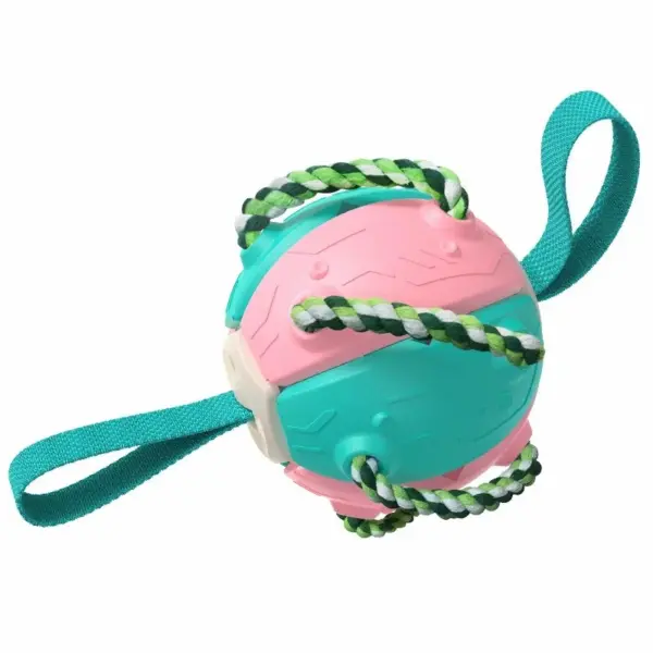 Hund Fußball Interaktives Spielzeug Auto Erweitern Training Spielzeug Outdoor Frisbee Haustier Spielzeug Hund Training Tools - Image 11