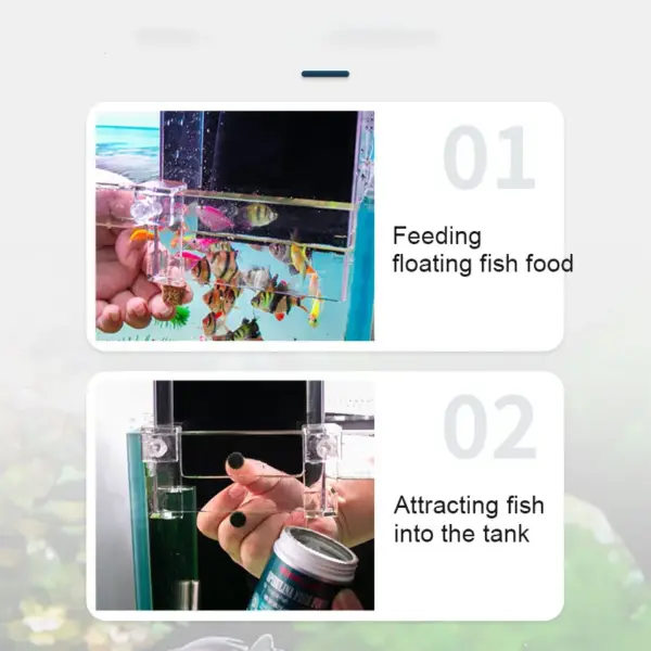 Creative Aquarium Tank Negative Pressure Fish Tank Ecological Aquascape Decoration Small Fish Beta Fish Tank Bowl Isolation - Image 12