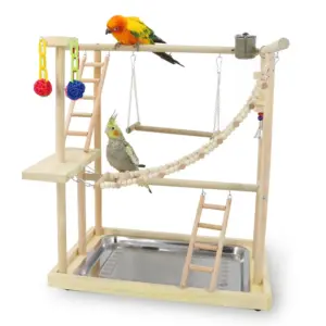 Wood Parrot Playground Lovebirds Playgym With Feeder Bird Playstand Bite Toy Bird Perches With Ladders Cockatiel Activity Center