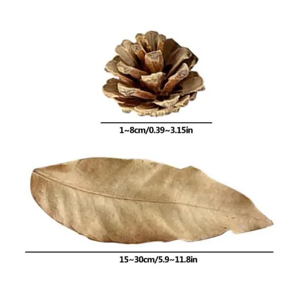 Aquarium Alder Cones Natural Fish Tank's pH Lowerer Aquarium Decorations & Accessories Multifunctional Fish Tanks Botanicals - Image 9