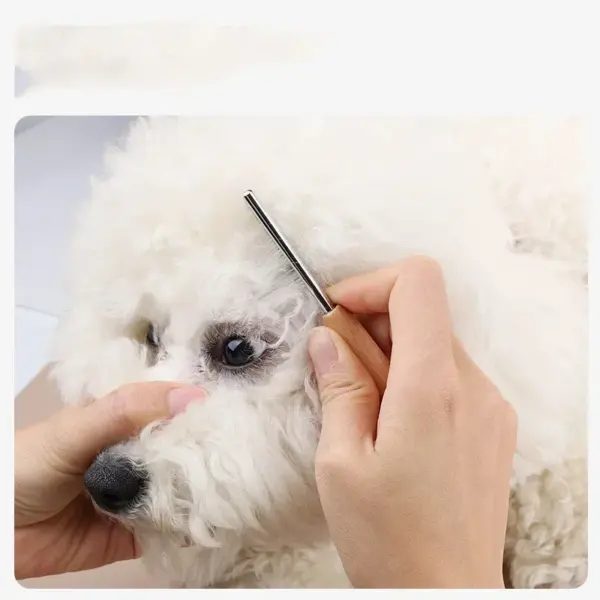 Edelstahl-Gesichtshaar-Reinigungskamm für Katzen und Hunde, Mini-Pflegebürste für Haustiere, dichter Zahn, kleiner Kamm, Hunde- und Katzenzubehör - Image 3