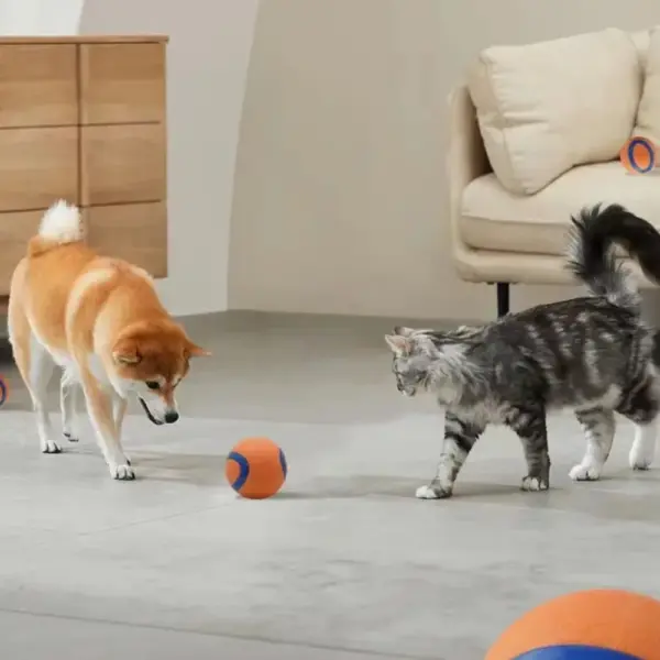 Hundespielzeugball, Hunde-Apportierungsball, Spielzeug, robuster Haustierball, Welpen-Kauspielzeug, fester, elastischer Springball, Haustierzubehör für große, mittelgroße und kleine - Image 5