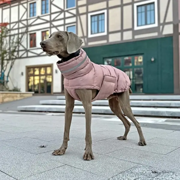 Pet Dog Winter Warm Coat Clothes Down Jacket Waterproof Fleece Vest Thicken Coat Clothing for Dogs Puppy Cats Pet costume - Image 5