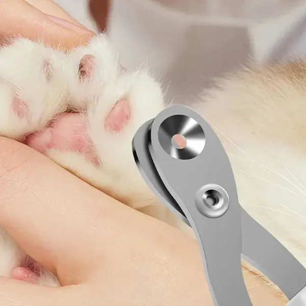 1PC Katze Nagelknipser Mit Runden Löchern Haustier Hund Und Katze Nagelknipser Anti-bleeding Katze Nagelknipser Anti-unfall Verletzungen - Image 15