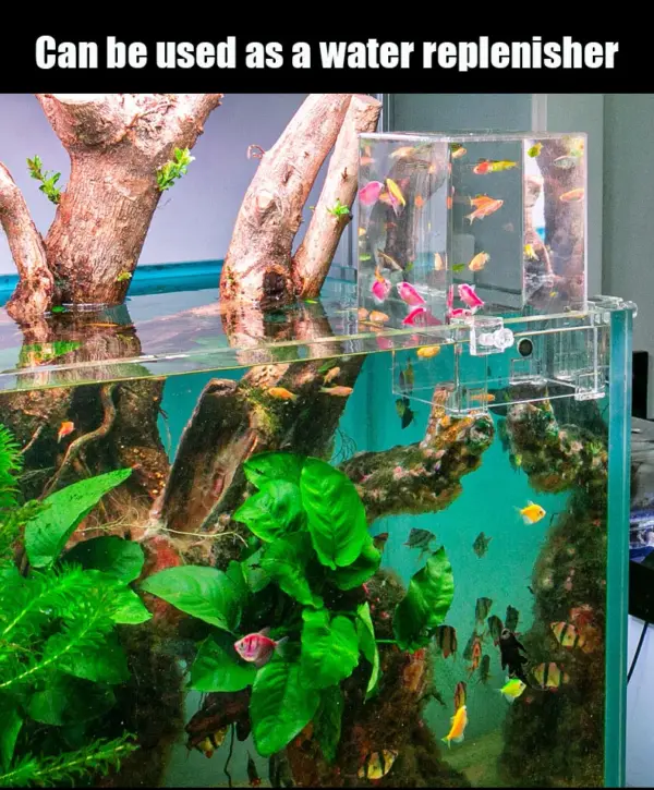 Creative Aquarium Tank Negative Pressure Fish Tank Ecological Aquascape Decoration Small Fish Beta Fish Tank Bowl Isolation - Image 10