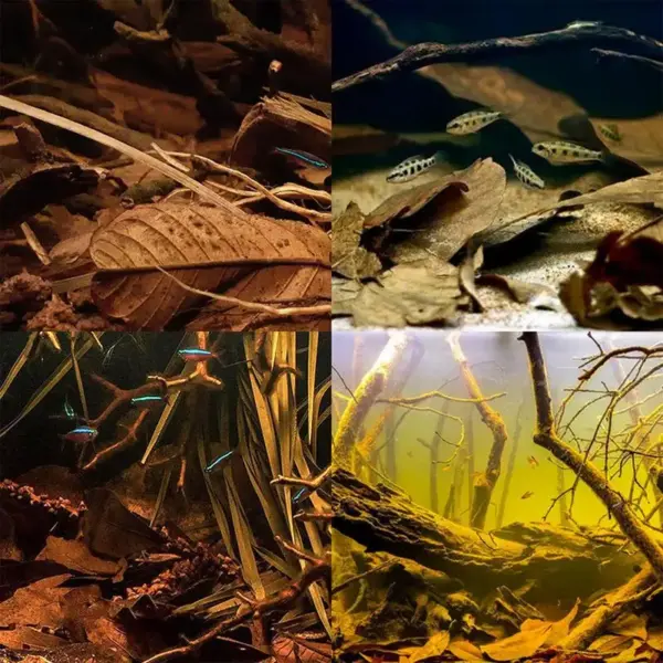 Aquarium Alder Cones Natural Fish Tank's pH Lowerer Aquarium Decorations & Accessories Multifunctional Fish Tanks Botanicals - Image 5