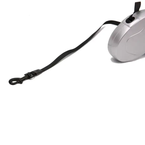 Retractable Dog Leash 5M Dog Walking Leash For Small Medium Dogs Durable Pet Training Walking Collar Leashes 3M Gold Silver - Image 14