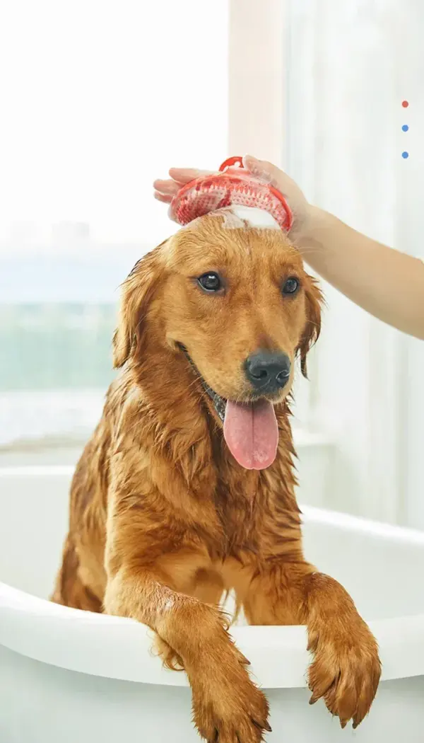 Haustierbürste Katze Hund Badebürste Haustier Hund Katze Massagebürste Hundemassagebad Katze Scheuerbürste Duschhandschuh Reinigungsprodukte Handschuhe - Image 11