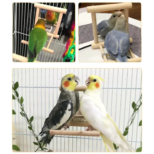 Bird Mirror Wooden Interactive Play Toy With Perch For Small Parrot Budgies Parakeet Cockatiel Conure Lovebird Cage Accessories - Image 11