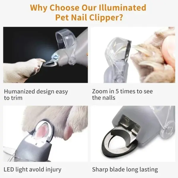 Professionelle Pet Nagel Clipper Schere Mit LED Licht Katze Hund Nagel Clippers Werkzeug Schere Nagel Toeclaw Cutter Schere Pet Suppl - Image 3