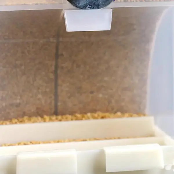 Automatic Parrot Feeder for Small Birds, PP, Convenient, Spacious, No Mess, Anti-Splash - Image 10