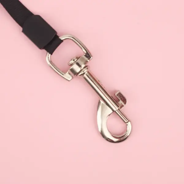 Retractable Dog Leash For Small Medium Dogs Nylon Durable Strong Rope Outdoor Puppy Running Walking Traction Dachshund Supplies - Image 11