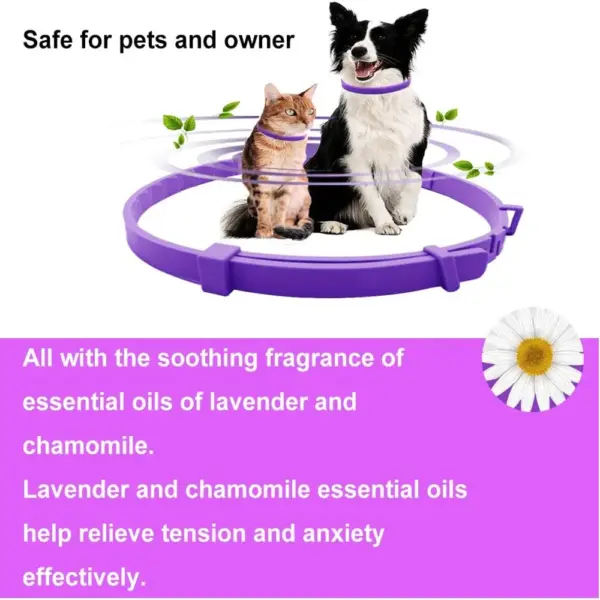 Beruhigendes Haustierhalsband für Katzen und Hunde, verstellbare Angst-Pheromon-Reduzierung, Haustierhalsband, langlebig, natürlich, ruhig, entspannen, beruhigende Halsbänder - Image 13