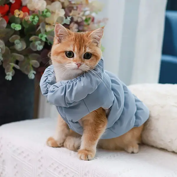 Soft Warm Dog Clothes Winter Padded Puppy Cat Coat Jacket For Small Medium Dogs Chihuahua French Bulldog Poodle Vest Pet Outfit - Image 25