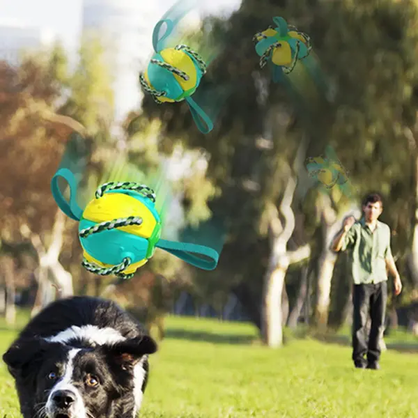 Hund Fußball Interaktives Spielzeug Auto Erweitern Training Spielzeug Outdoor Frisbee Haustier Spielzeug Hund Training Tools - Image 13