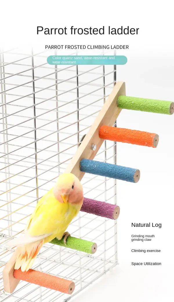 4/6/8 Step Bird Climbing Ladder Pet Interactive Ladder Parrot Grinding Claws and Teeth Climbing Toy Interactive Bird Accessories - Image 22