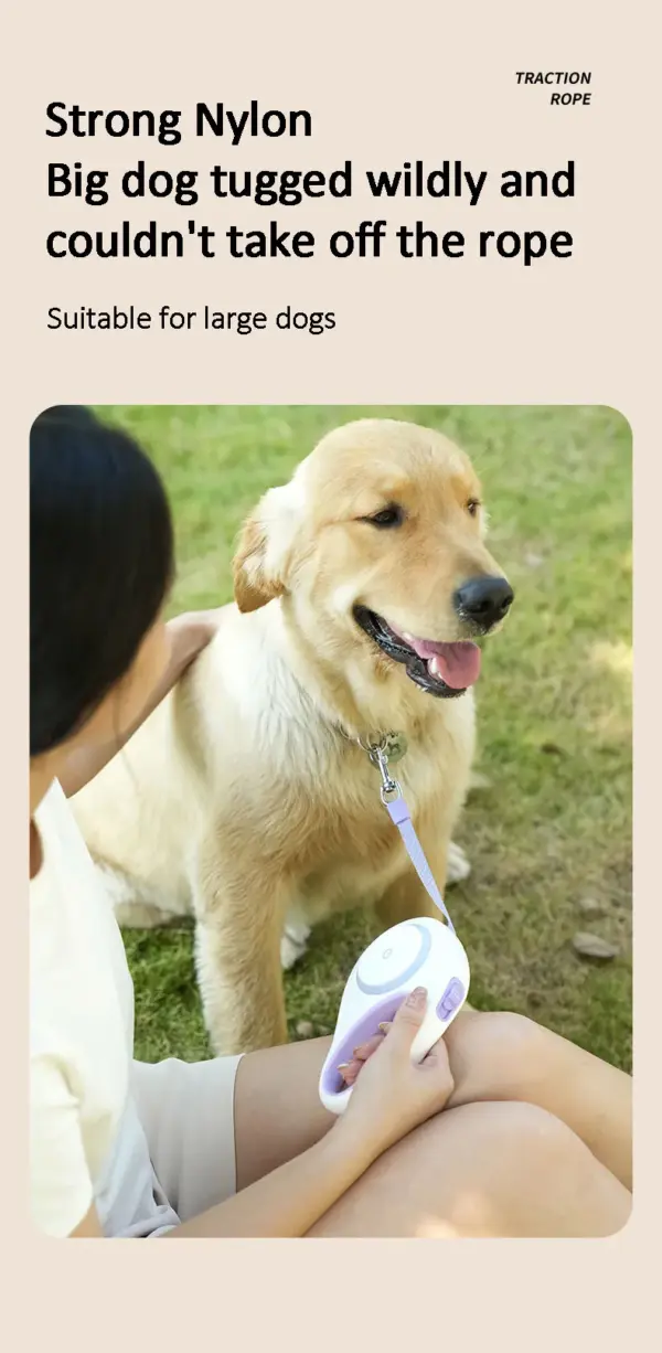 Automatic Retractable Dog Leash 5m LED Light Scalable Dog For Puppy Walking Running Outdoor Travel Hiking Traction Nylon Strap - Image 16