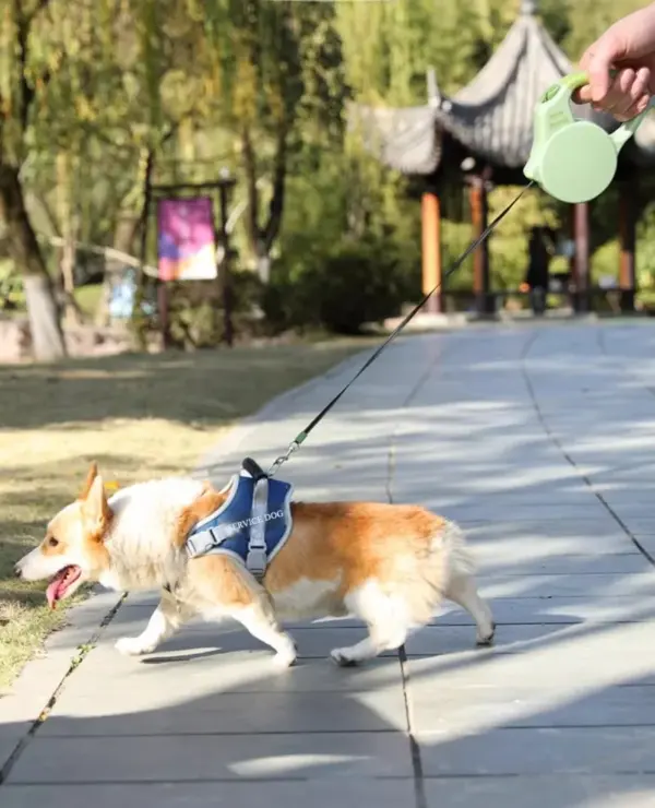 Retractable Pet Leash for Small Medium Dogs Cats – Heavy Duty, Shock-Absorbing, Tangle-Free, Adjustable, Strong & Durable Leash - Image 15