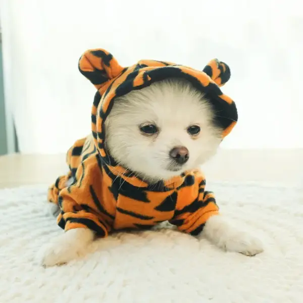 Soft Warm Dog Clothes Fleece Pet Dogs Jumpsuits Pet Clothing for Small Dogs Puppy Cats Clothes Chihuahua Yorkshire Costume Coat - Image 23