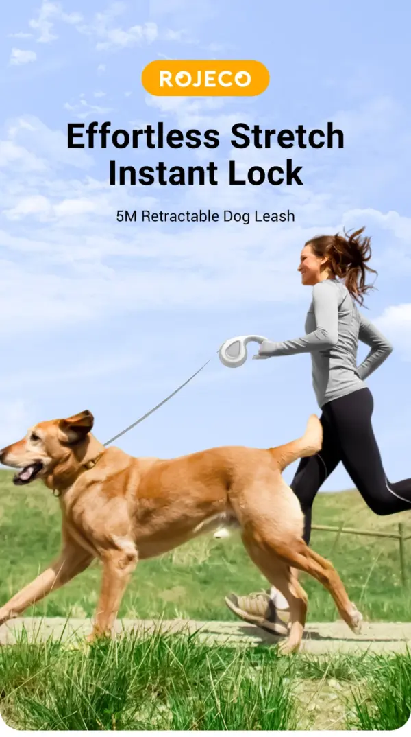 ROJECO Retractable Dog Leash Automatic 5M Extendable Rope For Outdoor Travel Walking Hiking Running Dog Pet Lead Traction Rope - Image 8