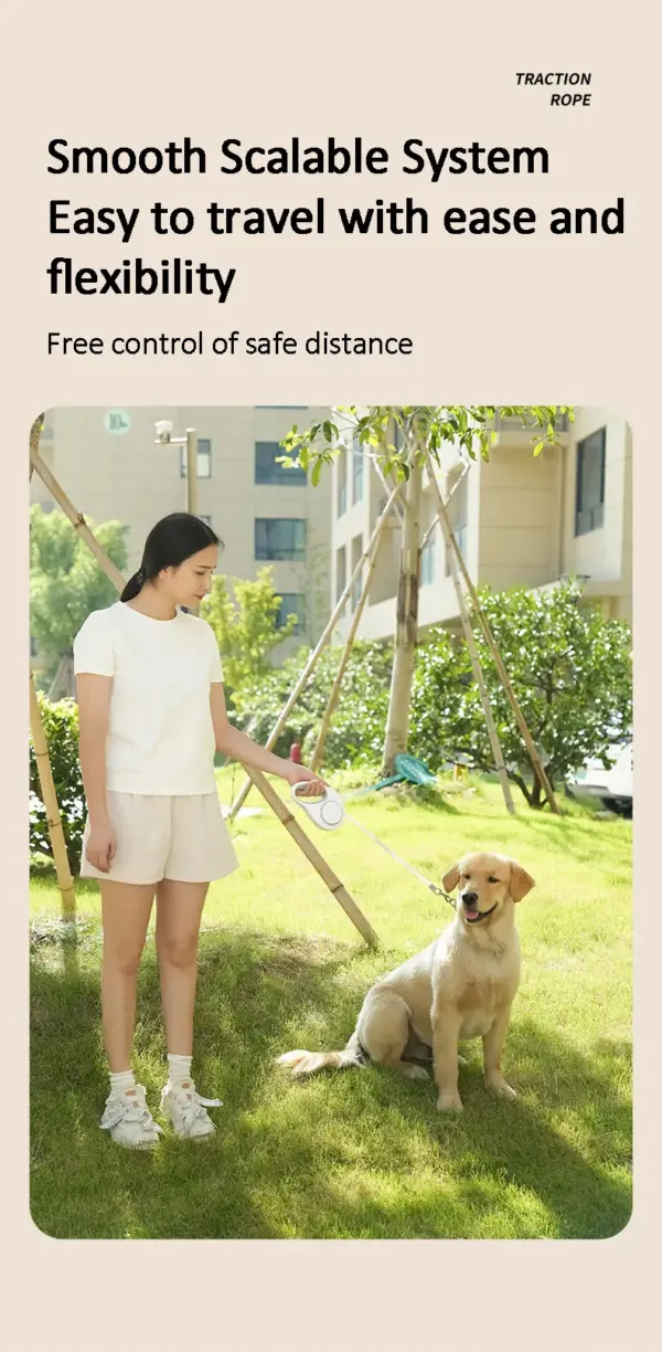 Automatic Retractable Dog Leash 5m LED Light Scalable Dog For Puppy Walking Running Outdoor Travel Hiking Traction Nylon Strap - Image 14