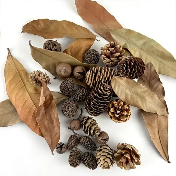 Aquarium Alder Cones Natural Fish Tank's pH Lowerer Aquarium Decorations & Accessories Multifunctional Fish Tanks Botanicals - Image 8