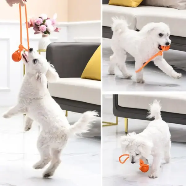 Hundeball-Spielzeug, federnde Gummiball, Kauspielzeug, Haustier-Hunde-Spielzeugball mit Schnur, interaktives Spielzeug für große Hunde, Welpen-Spiele, Spielzeug - Image 6