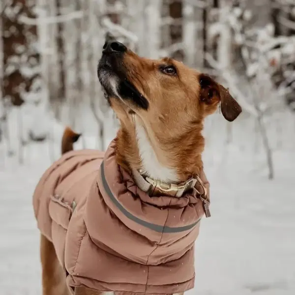 Pet Dog Winter Warm Coat Clothes Down Jacket Waterproof Fleece Vest Thicken Coat Clothing for Dogs Puppy Cats Pet costume - Image 13