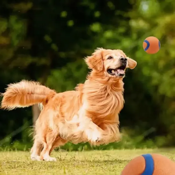 Hundespielzeugball, Hunde-Apportierungsball, Spielzeug, robuster Haustierball, Welpen-Kauspielzeug, fester, elastischer Springball, Haustierzubehör für große, mittelgroße und kleine - Image 2