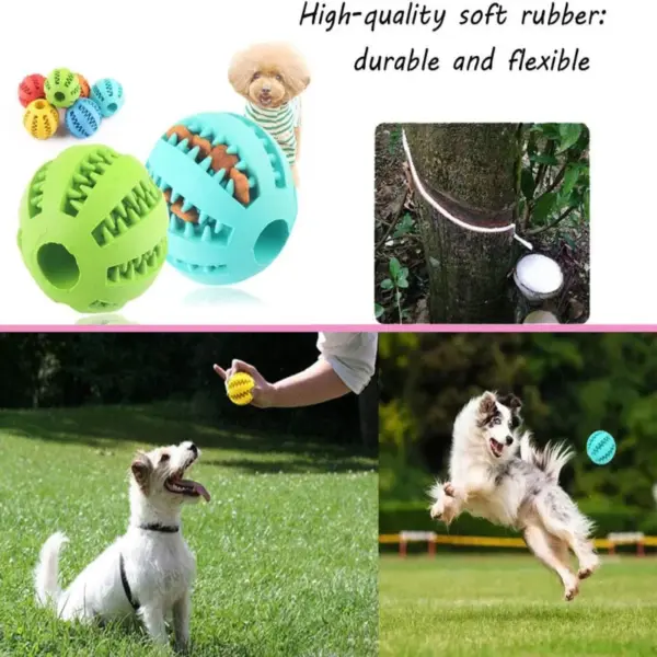 Hund Spielzeug Ball Interaktive Gummi Bälle Welpen Kauen Spielzeug Haustier Zahn Reinigung Ball Katzen Haustiere Lebensmittel Behandeln Feeder Silikon Bälle Spielzeug - Image 3