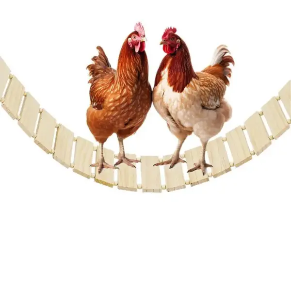 Bird Swings Weatherproof Wooden Bird Stand Heavy Duty Enrichment Toys Boredom-Relief Chicken Coop Accessories For Rooster Parrot - Image 4