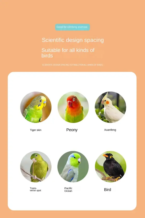 4/6/8 Step Bird Climbing Ladder Pet Interactive Ladder Parrot Grinding Claws and Teeth Climbing Toy Interactive Bird Accessories - Image 14