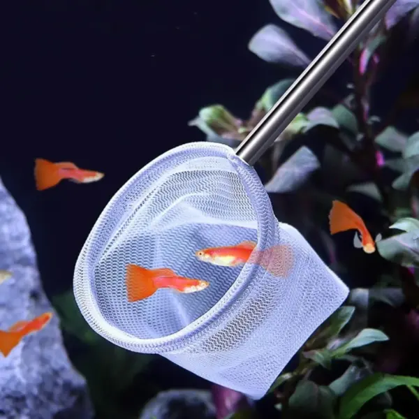 Reinigungswerkzeuge für Aquarien, Aquarium-Fischnetze, kleine Fische und Garnelennetze, Aquarium-Fischernetze - Image 3