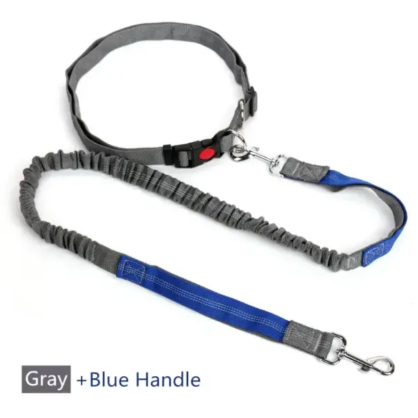 Retractable Dog Leash with Adjustable Waist Rope Hand Free Running Jogging Cycling Big Dogs Pet Elasticity Lead Pet Supplies - Image 9