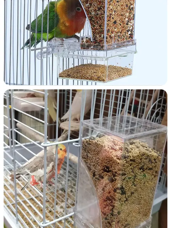 Parrot Bird FeederSpill-proof Automatic DispenserSplash-proof Outside FeederBird FeederTiger PeonyPhoenixBird Supplies - Image 13