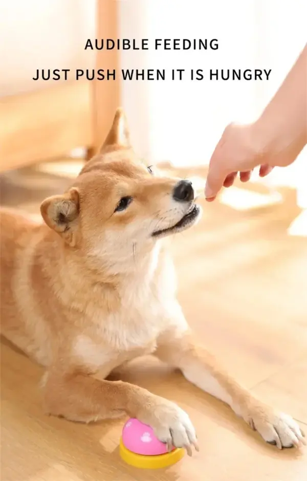 Hunde trainieren Glocken Katze Mahlzeit Glocke Welpen Fütterung Anruf Glocke Kind Hand Fähigkeit Training interaktive Katzen Spielzeug Haustier Training Knopf - Image 12