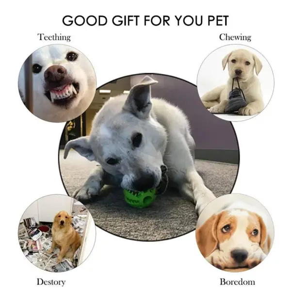 Hund Spielzeug Ball Interaktive Gummi Bälle Welpen Kauen Spielzeug Haustier Zahn Reinigung Ball Katzen Haustiere Lebensmittel Behandeln Feeder Silikon Bälle Spielzeug - Image 19