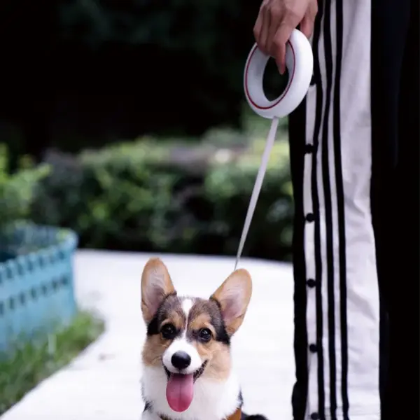 Moestar UFO Retractable Leash 2 Lite Metal Buckle Anti-Slip Handle One-handed Brake Pause Lock Leash for Small & Medium Size Dog - Image 5