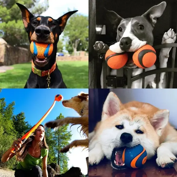 Hundespielzeugball, Hunde-Apportierungsball, Spielzeug, robuster Haustierball, Welpen-Kauspielzeug, fester, elastischer Springball, Haustierzubehör für große, mittelgroße und kleine - Image 14