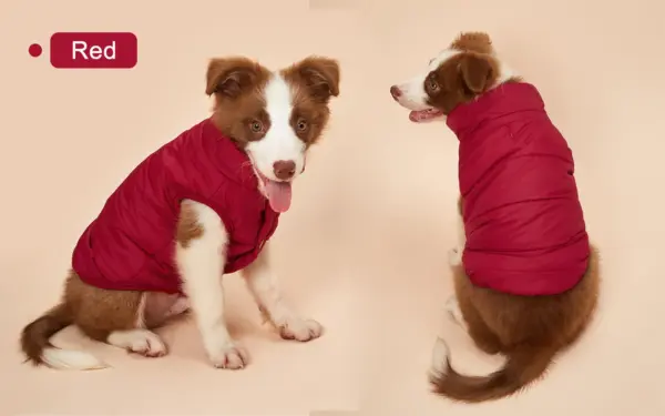 Winter Pet Coat Clothes for Dogs Winter Clothing Warm Dog Clothes for Small Dogs Christmas Big Dog Coat Winter Clothes Chihuahua - Image 26