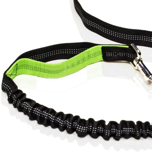 Retractable Dog Leash with Adjustable Waist Rope Hand Free Running Jogging Cycling Big Dogs Pet Elasticity Lead Pet Supplies - Image 16