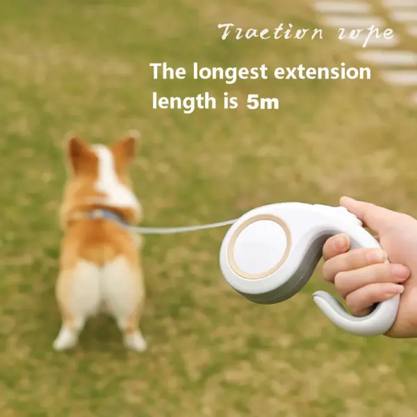 3M 5M Retractable Dog Leash Durable Nylon Pet Walking Leash Automatic Extending Dog Lead Rope for Small Medium Pet - Image 12