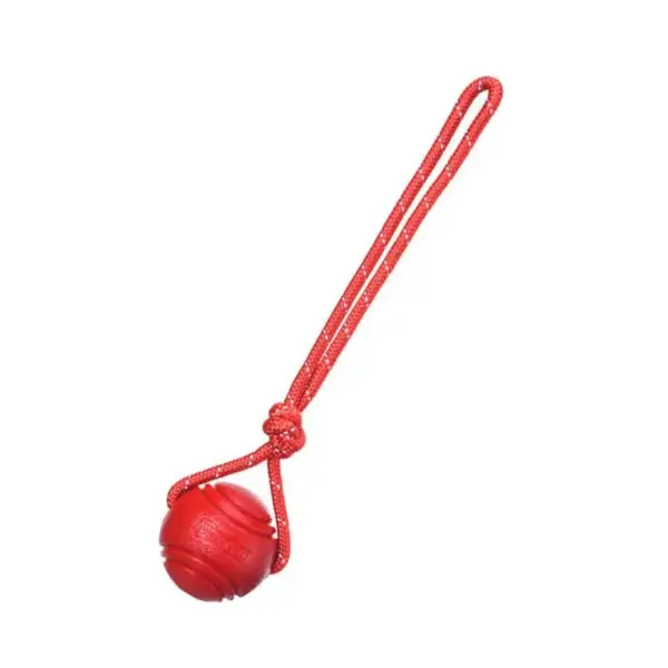 Hundeball-Spielzeug, federnde Gummiball, Kauspielzeug, Haustier-Hunde-Spielzeugball mit Schnur, interaktives Spielzeug für große Hunde, Welpen-Spiele, Spielzeug - Image 9
