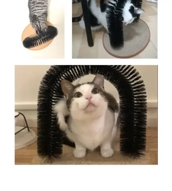 Katzenspielzeug Bogen Selbst Grooming Pamper Katze mit einer Massage Pflege Reibbürste mit Kratzpad Spielzeug für Katzen Interaktives Spielzeug - Image 17