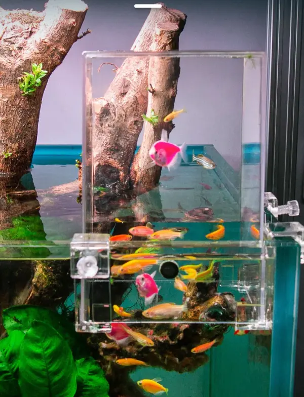 Creative Aquarium Tank Negative Pressure Fish Tank Ecological Aquascape Decoration Small Fish Beta Fish Tank Bowl Isolation - Image 9