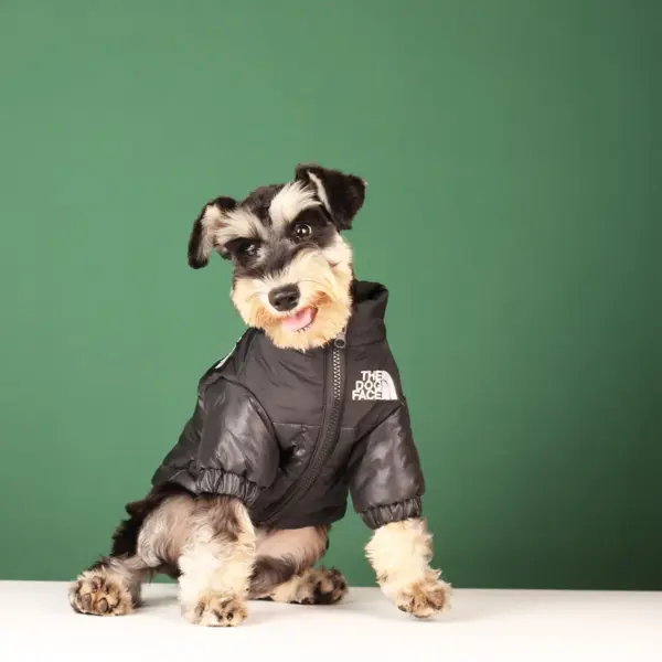 Large Winter Pet Dog Clothes French Bulldog Puppy Warm Windproof Jacket Small Medium Dog Reflective Coat Chihuahua Pet Outfits - Image 23