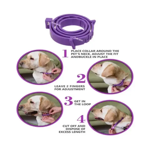 Beruhigendes Haustierhalsband für Katzen und Hunde, verstellbare Angst-Pheromon-Reduzierung, Haustierhalsband, langlebig, natürlich, ruhig, entspannen, beruhigende Halsbänder - Image 6